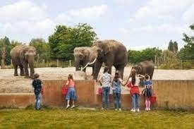 30% korting pp entree Eindhoven Zoo Mierlo (max. 4 personen), Tickets en Kaartjes, Drie personen of meer, Kortingskaart