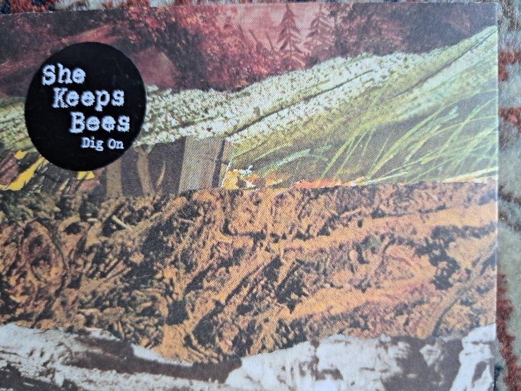 She Keeps Bees – Dig On CD Digipack 2011, Ophalen of Verzenden, Gebruikt, Pop