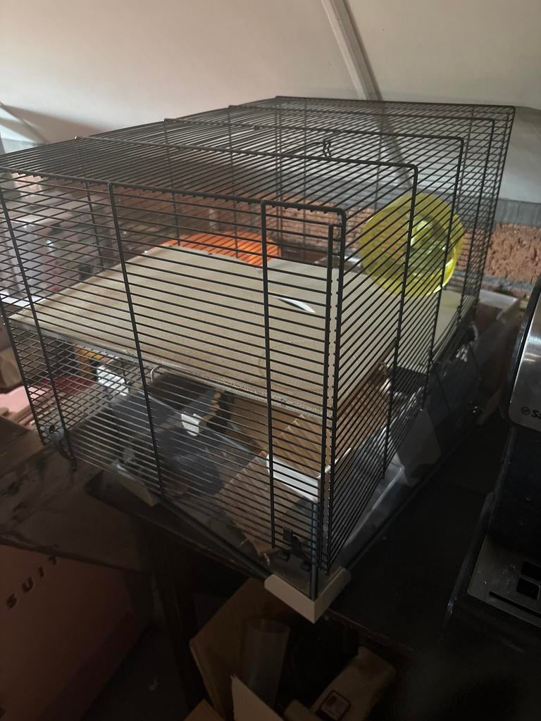 Knaagdier kooi, Ophalen, Kooi, Minder dan 60 cm