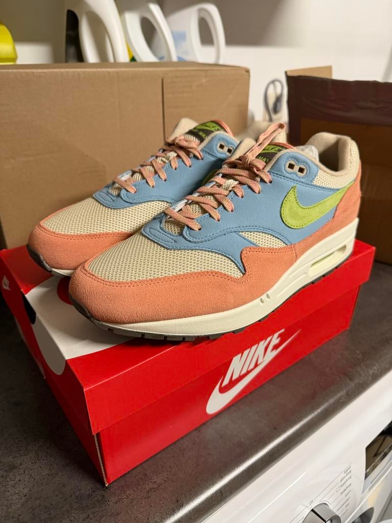 Nike Air Max 1 'Light Madder Root' DV3196-800, Overige kleuren, Nieuw, Ophalen of Verzenden, Sneakers of Gympen
