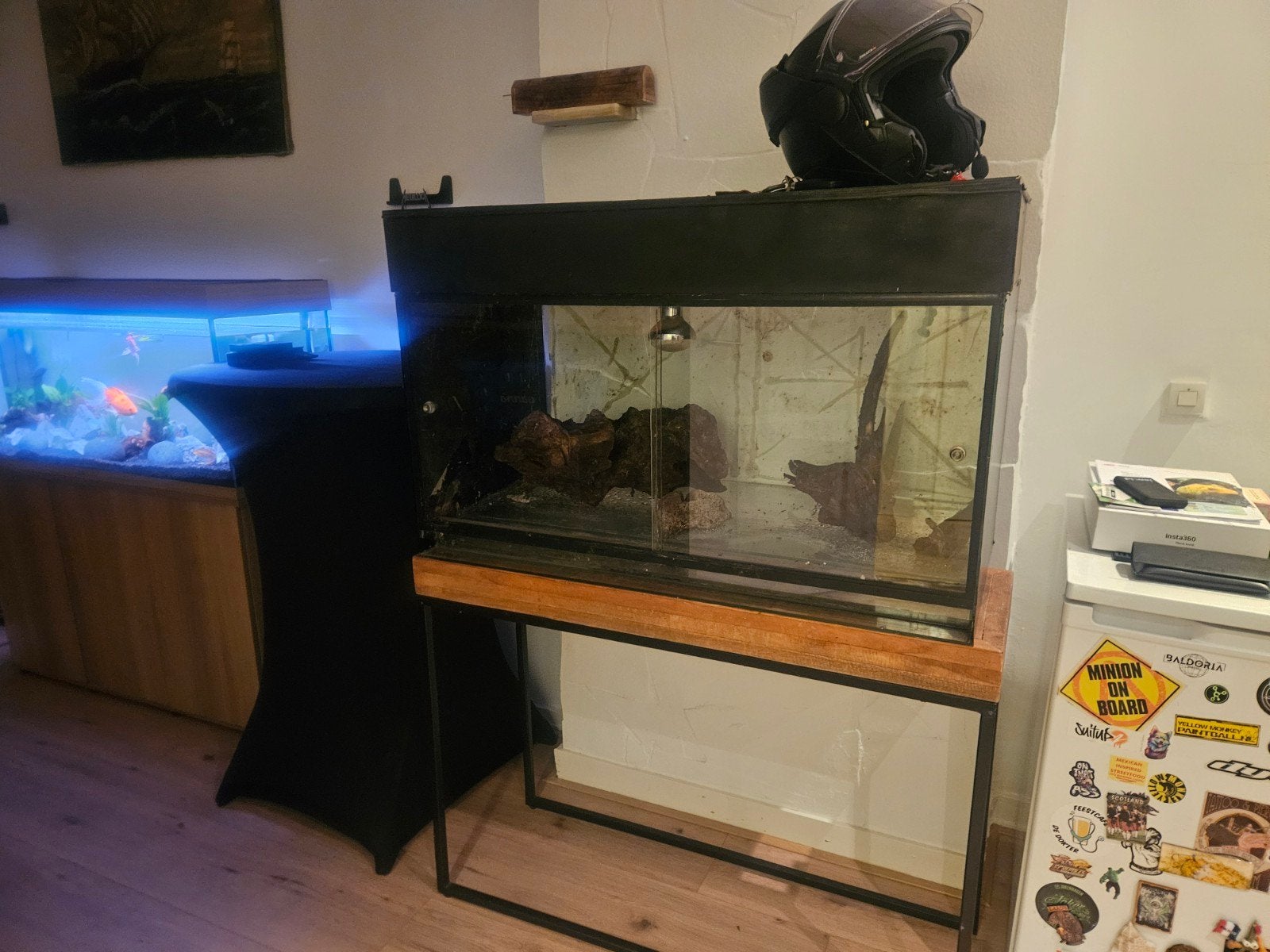 Paledarium / Terarrium, Ophalen