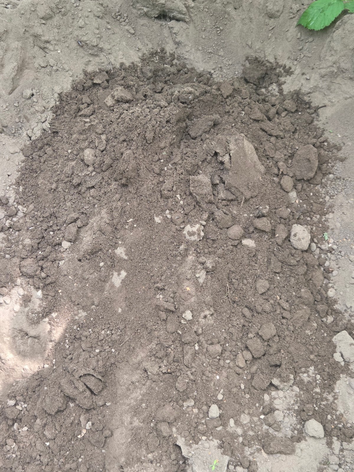 Bemeste tuinaarde/tuingrond. Gratis afhalen, Ophalen, Overige typen