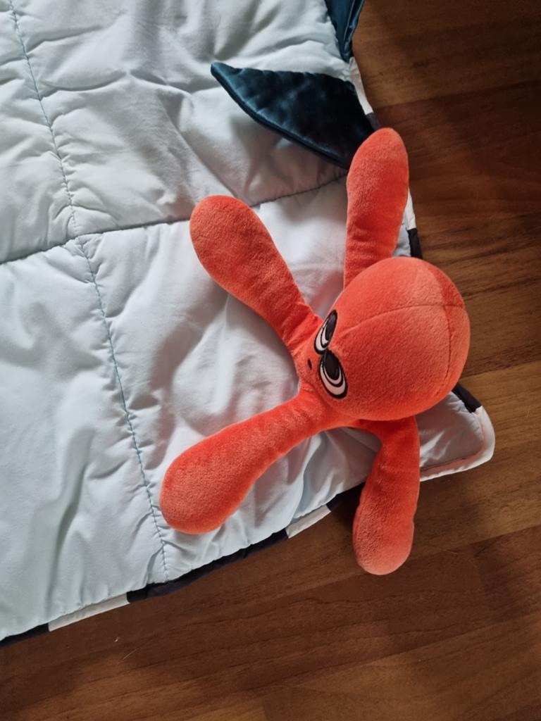 Kleed 110 bij 110, Ophalen, Beer