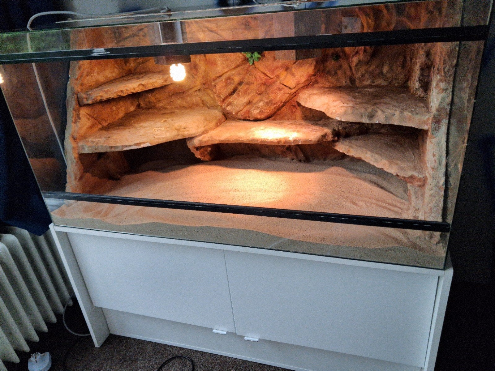 terrarium inclusief toebehoren, Ophalen, Gebruikt, Terrarium of Paludarium