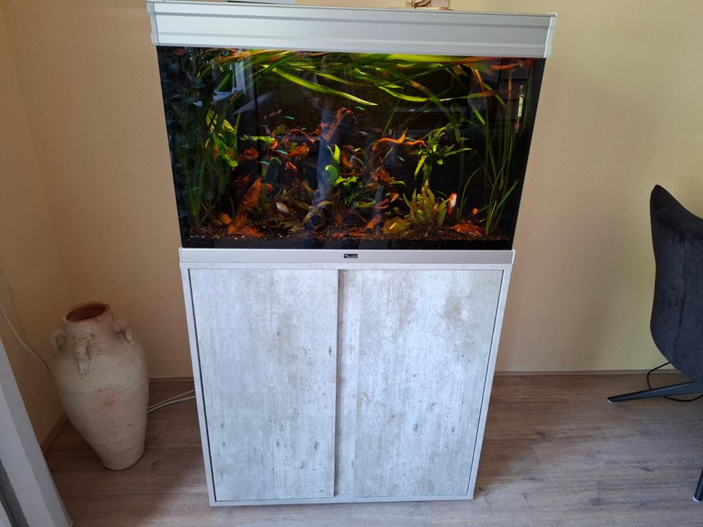 Gevuld Zoetwater aquarium met onderkast., Dieren en Toebehoren, Ophalen, Gebruikt, Aquatlantis, Gevuld zoetwateraquarium