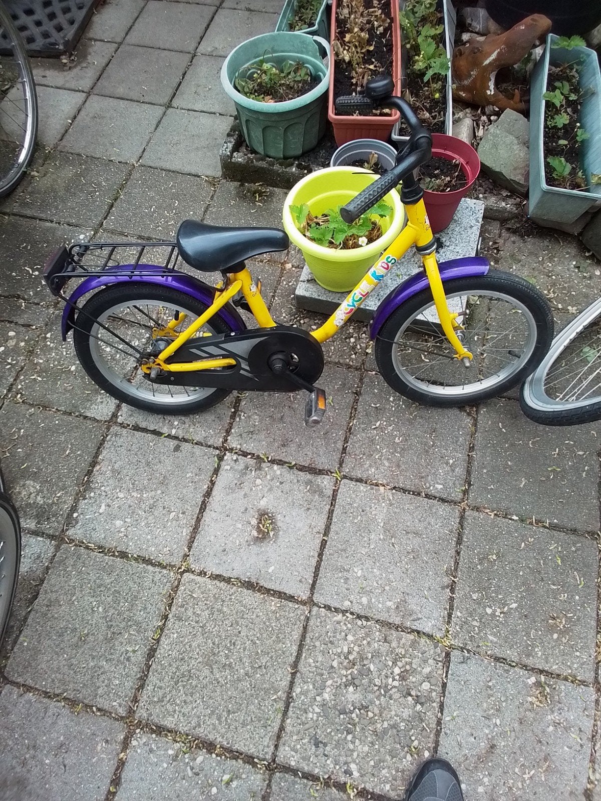 Cyclekids Kinderfiets, Ophalen, Gebruikt, 16 tot 20 inch