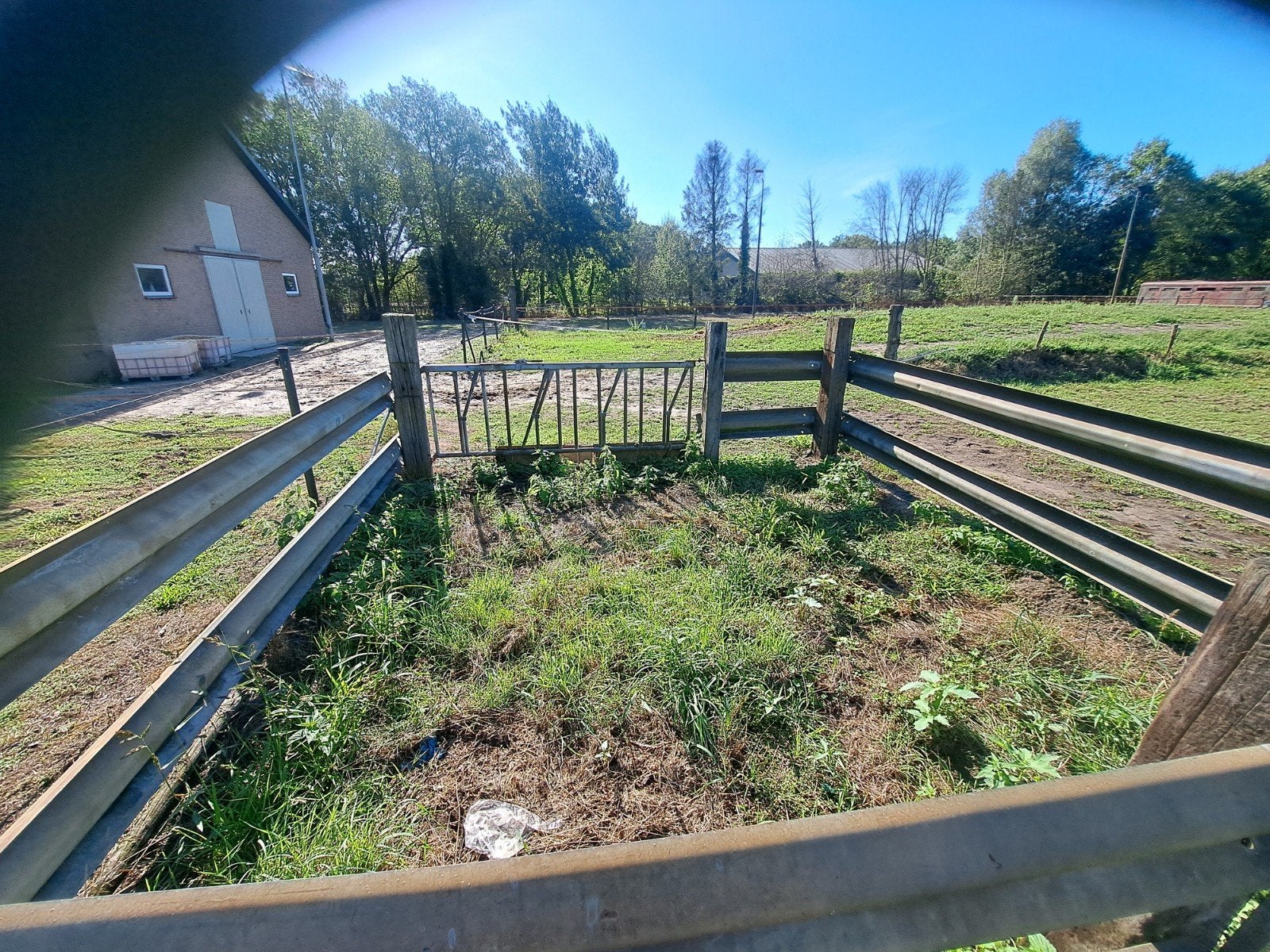 Gebruikt vangbak  dieren  met poort voor erf of weide, Tuin en Terras, Tuinhekken en Hekwerk, Met poort, Gebruikt, Overige typen