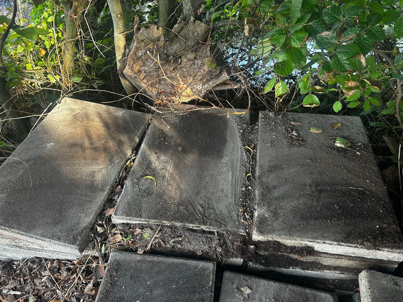 Gratis ca 30 betontegels 60x30, Tuin en Terras, Gebruikt, Ophalen of Verzenden, 10 m² of meer, Beton