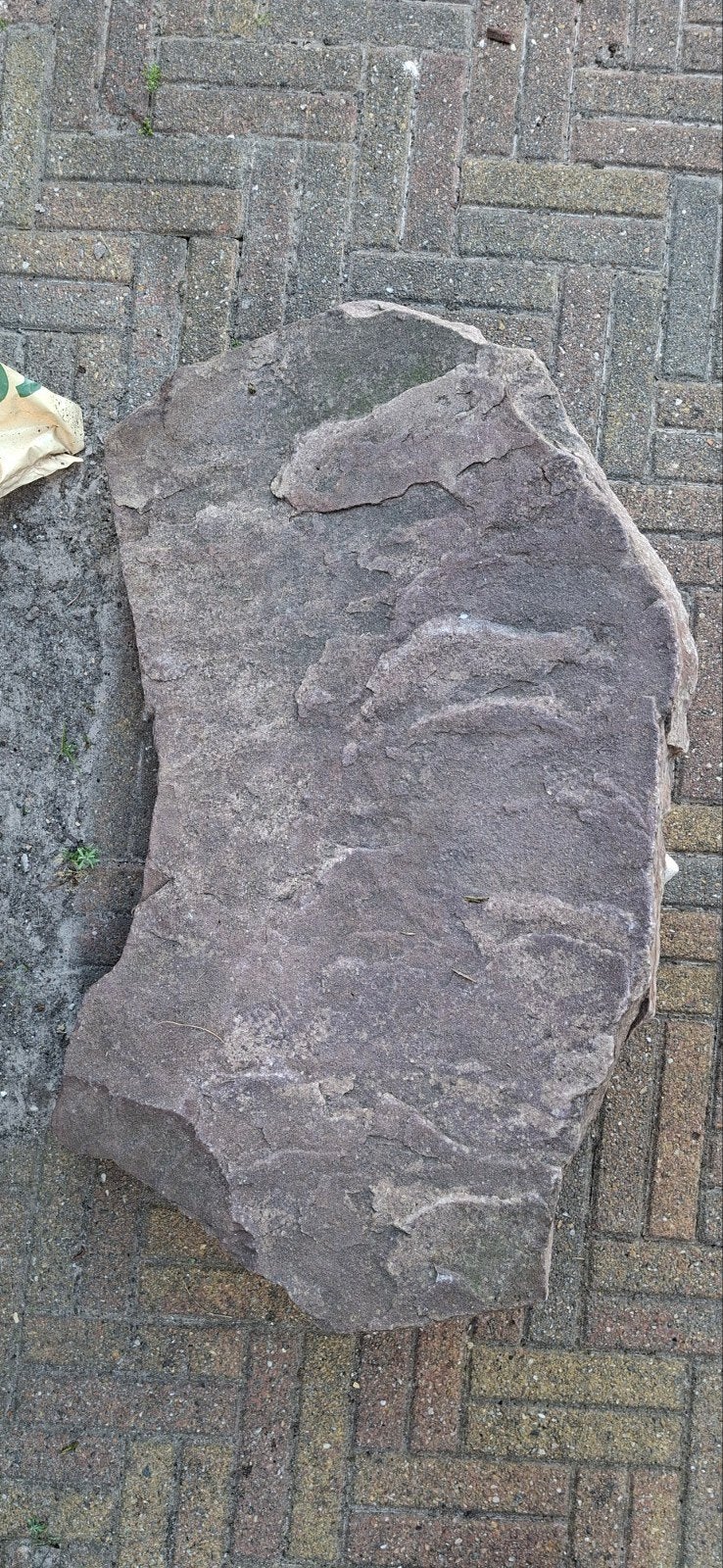 Grote platte steen voor tuin of decoratie, Tuin en Terras, Ophalen, Overige materialen, Gebruikt, Bruin