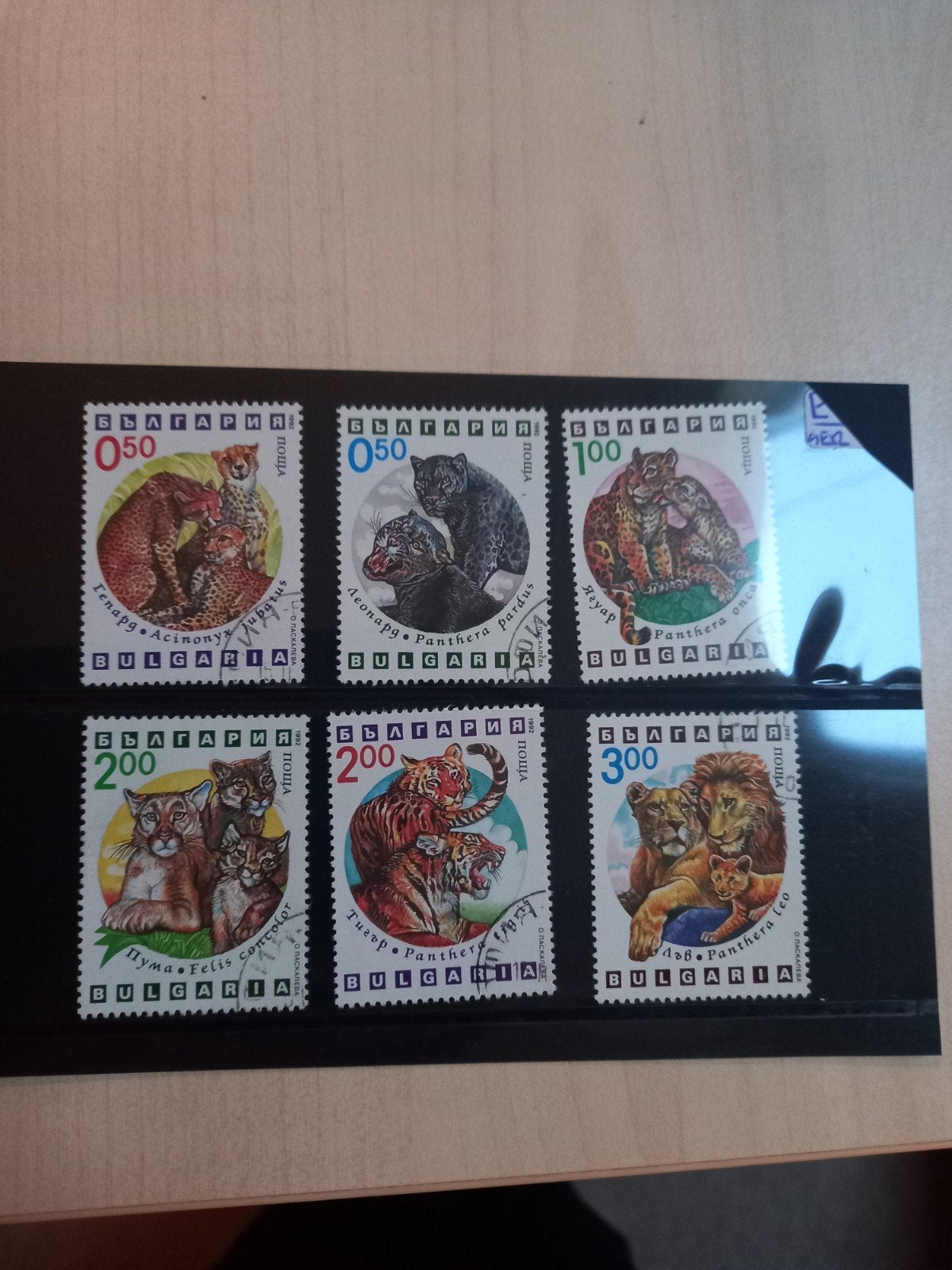 Bulgarije postzegels - Wilde katten serie, Ophalen of Verzenden, Bulgarije, Gestempeld