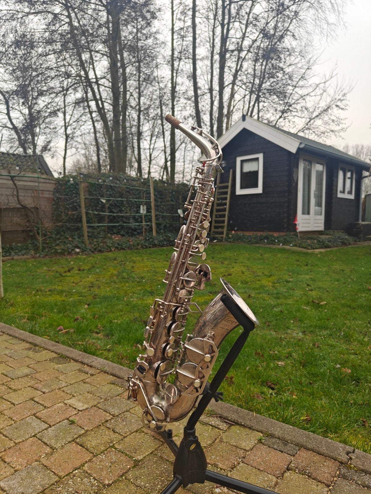 Dolnet Bell'Air zilveren Alt saxofoon, Ophalen, Volle zon, Overige soorten