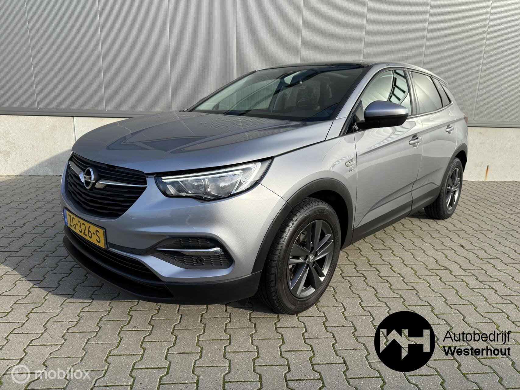 Foto 2 van Opel Grandland X 1.2 Turbo 120 Jaar Edition PANO AUTOMAAT AP