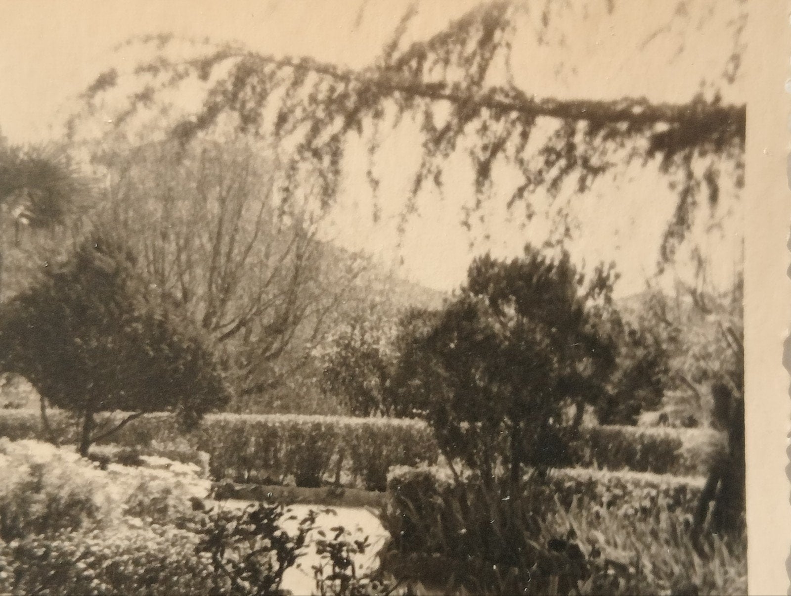 . Villefranche Frankrijk Park Tuin jaren 50, Ophalen of Verzenden, 1940 tot 1960, Gebruikt, Overige onderwerpen