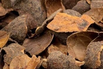 Cacaodoppen Premium – ca. 0,5 m³ / 500 liter, Ophalen, Cacaodoppen