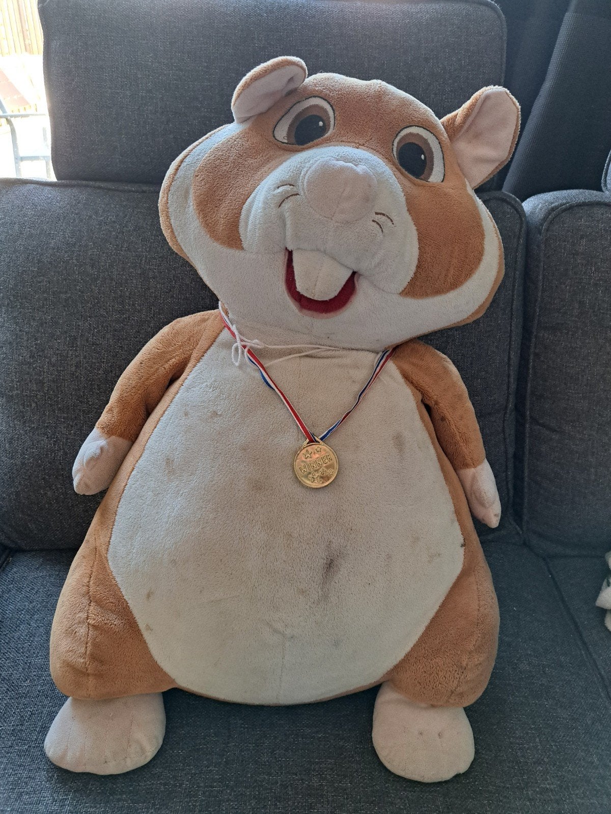 Supergrote hamster, Ophalen of Verzenden, Gebruikt