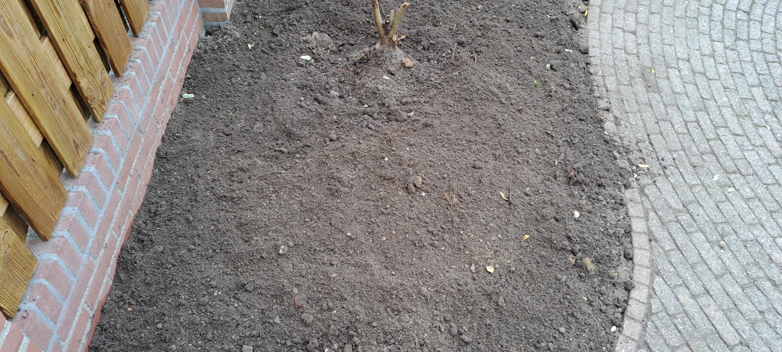 Gratis Tuinaarde +/- 3 m3, Tuin en Terras, Ophalen, Tuinaarde