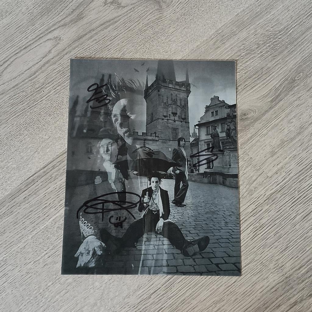 Palaye royale fever dream poster 3D, Ophalen of Verzenden, Zo goed als nieuw