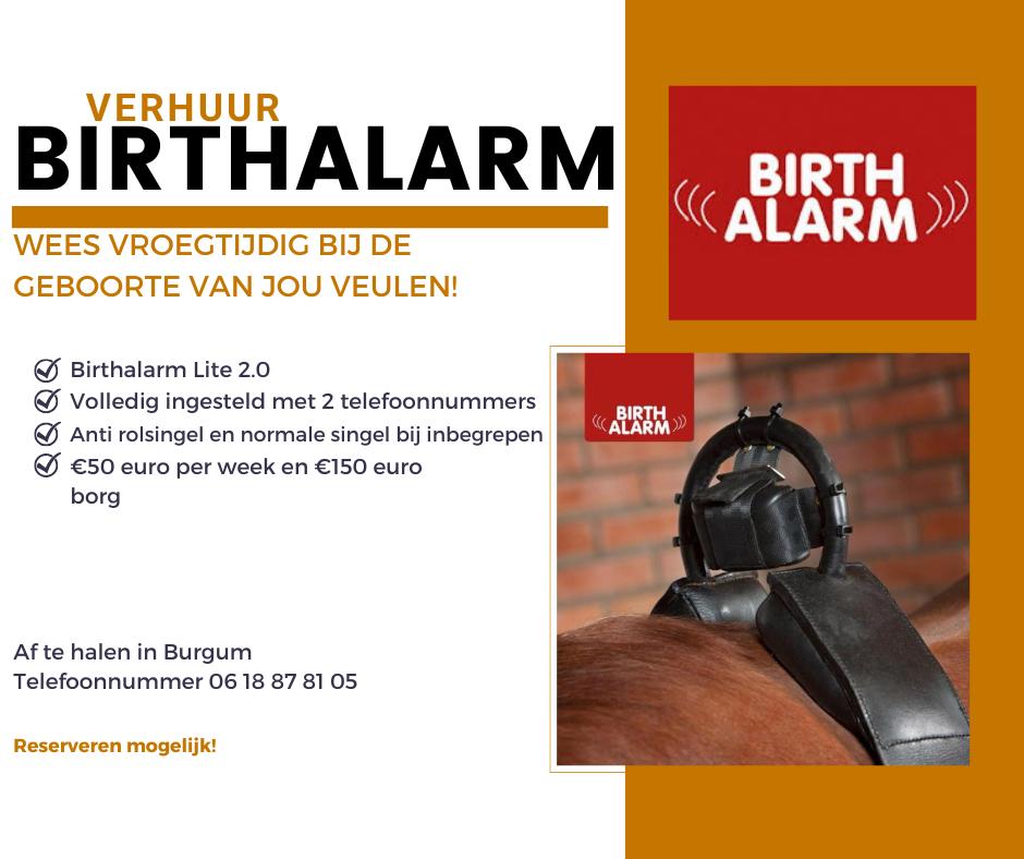 Geboortemelder/Birthalarm lite te huur! €50 euro per week!, Ophalen, Nieuw, Overige soorten