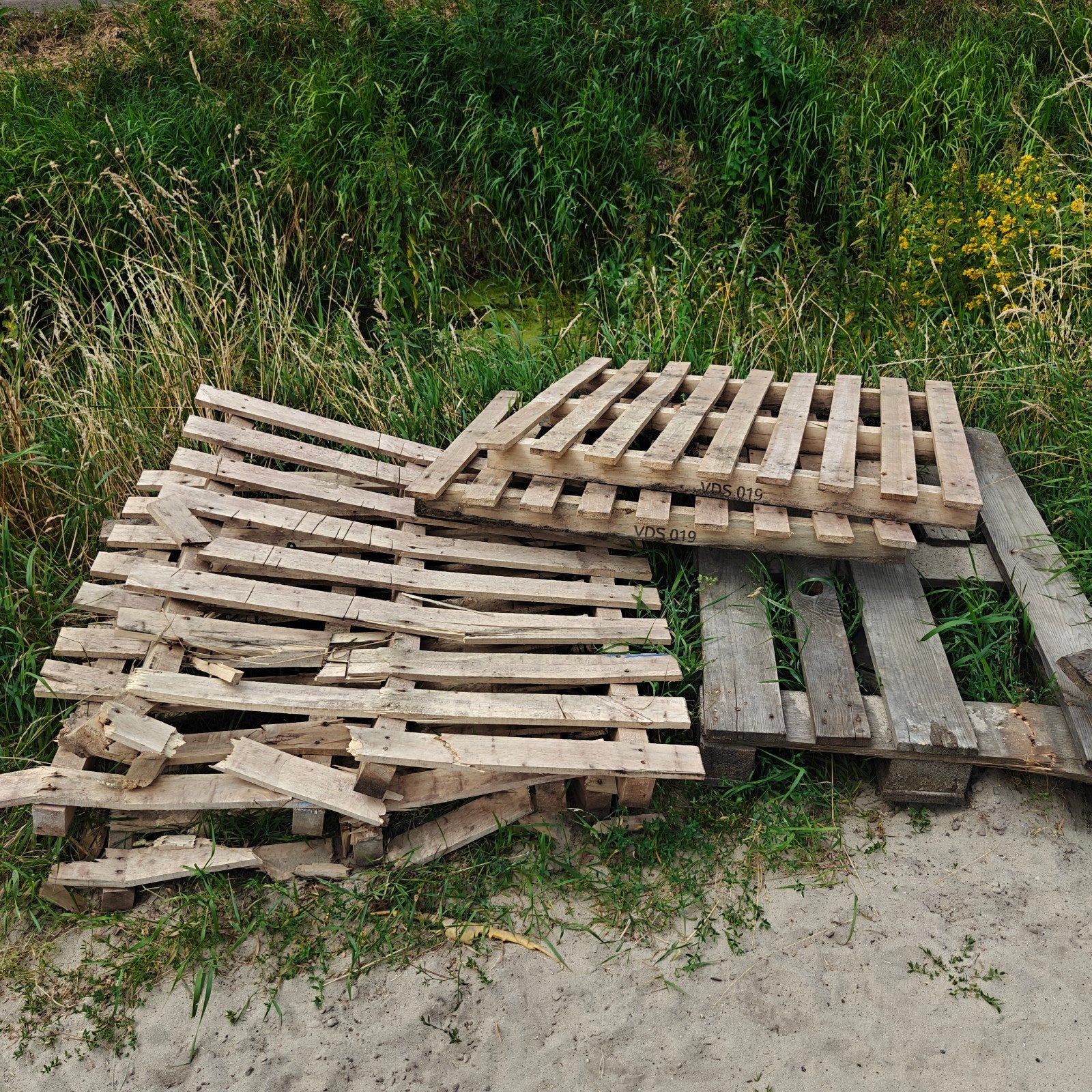 Gratis af te halen: Gebruikte pallets, Ophalen, Gebruikt, 50 mm of meer, Pallet