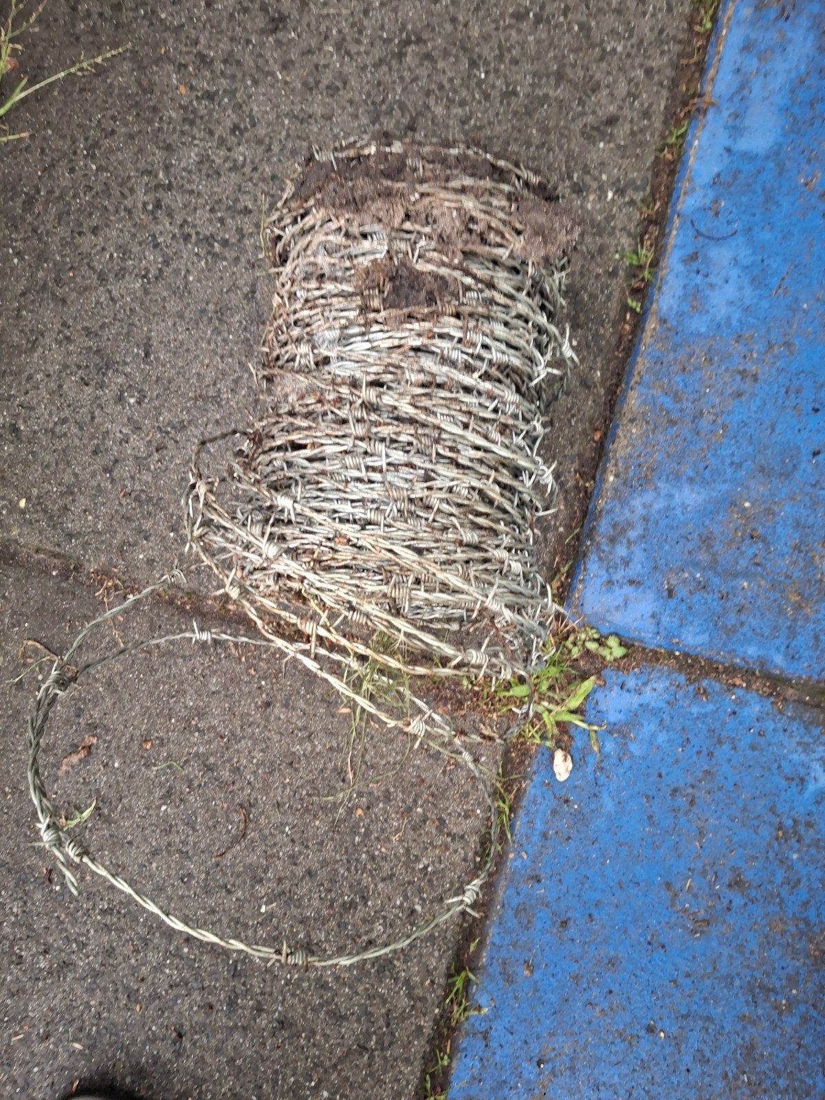 prikkeldraad, Ophalen of Verzenden, Nieuw, 10 tot 20 meter, Prikkeldraad
