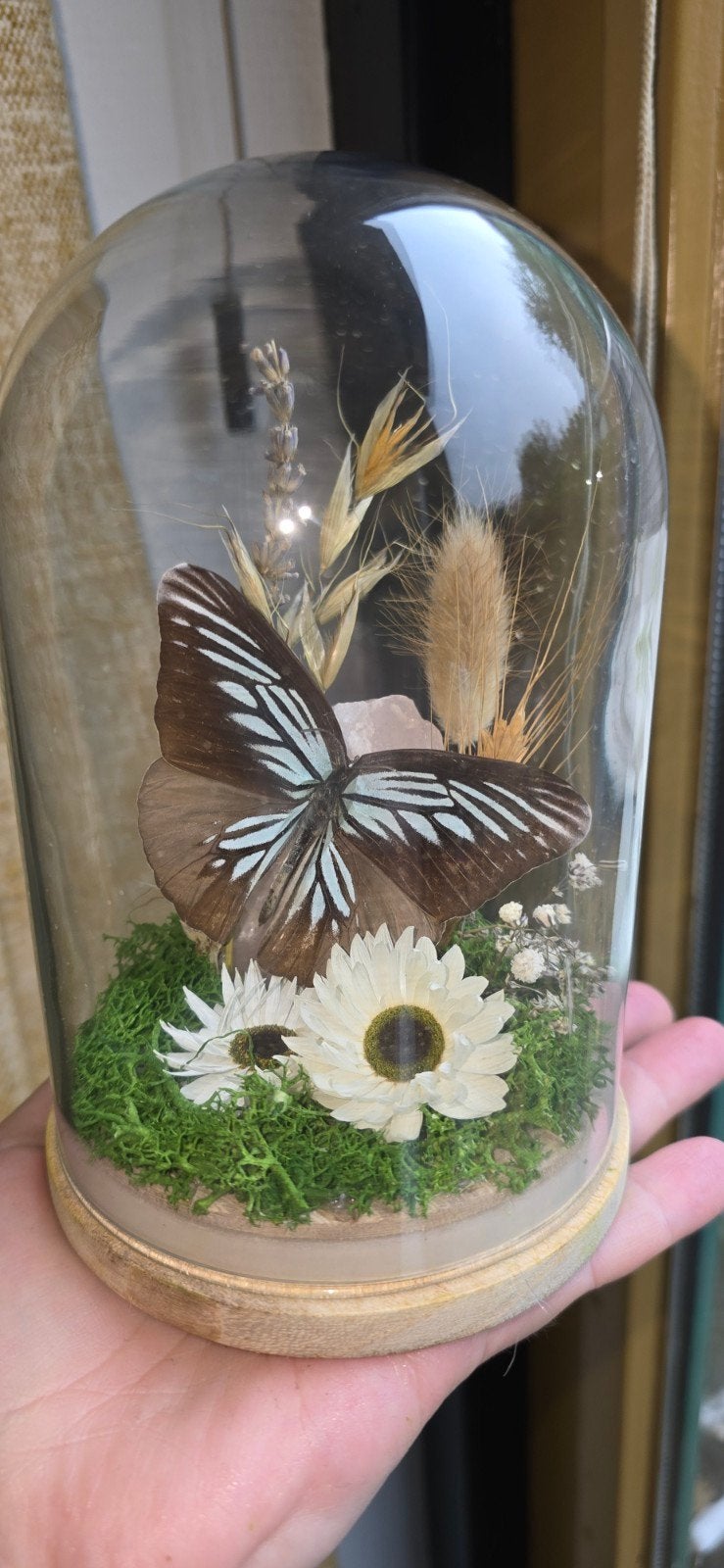 Stolp met zwarte/(witte-heel lichtblauwe) vlinder op kwarts., Ophalen, Nieuw
