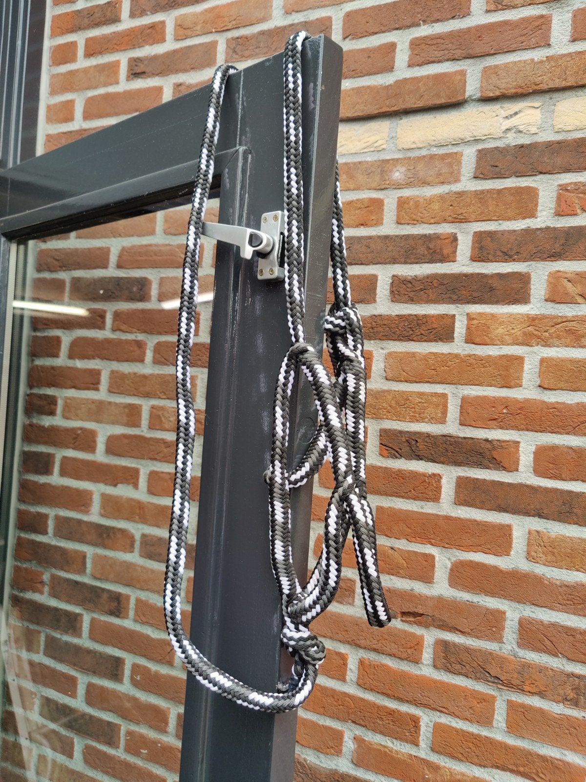 Halster + touw maat cob/full zgan, Ophalen of Verzenden, Zo goed als nieuw, Halster, Cob