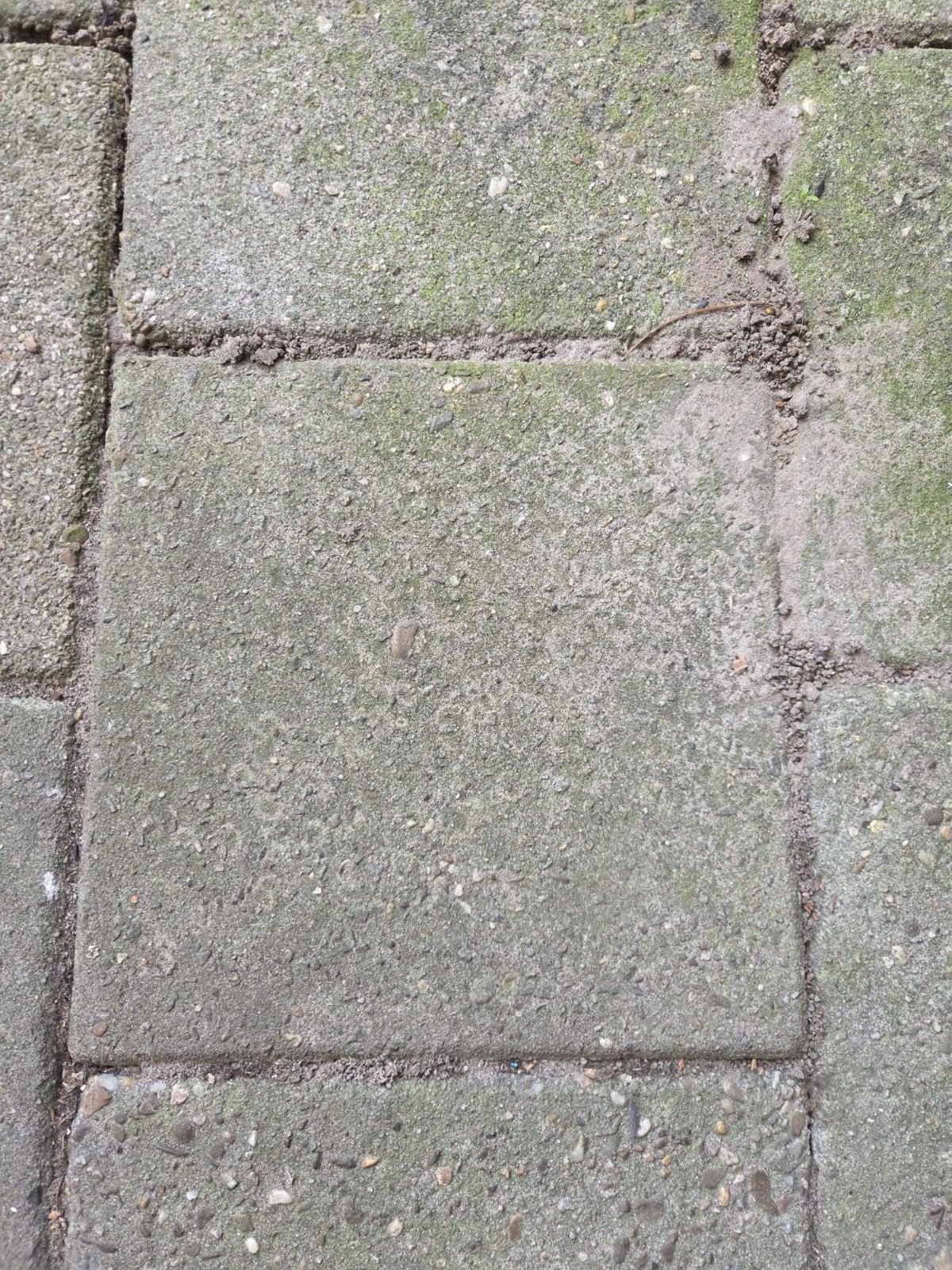 gratis 30/ 30 tegels 35 m2, Ophalen, Gebruikt, Beton, Terrastegels