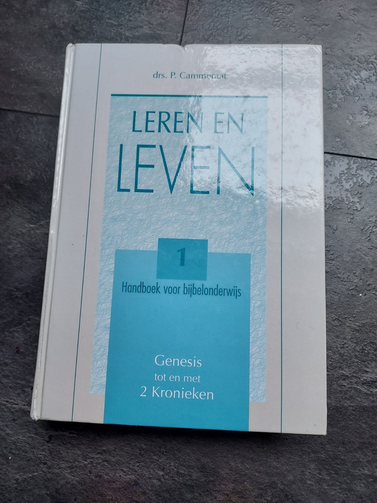 Leren en Leven 1: Handboek Bijbelonderwijs Genesis-Kronieken, Boeken, Godsdienst en Theologie, Ophalen of Verzenden, Gelezen, Drs. P. Cammeraat