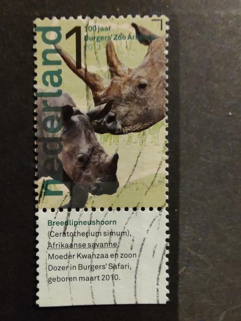 3032 breedlipneushoorn 2013 burgers Zoo, Postzegels en Munten, Postzegels | Nederland, Ophalen of Verzenden