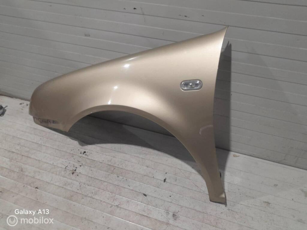 Spatscherm Volkswagen Bora, Gebruikt, Ophalen of Verzenden