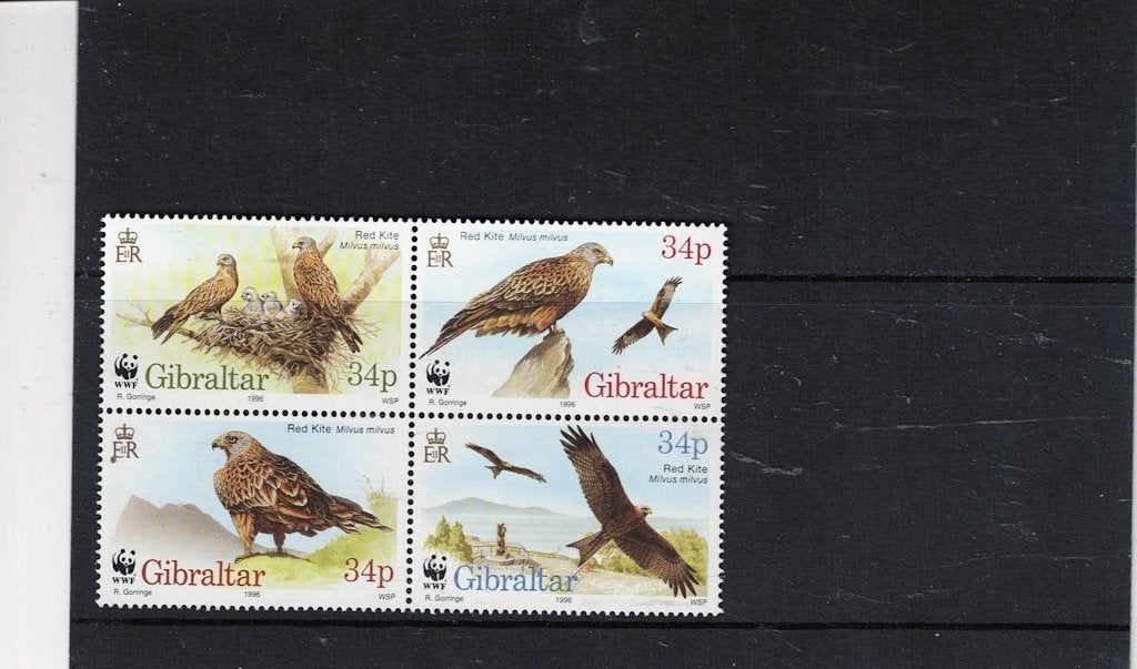vogels Gibraltar, Ophalen of Verzenden, Dier of Natuur