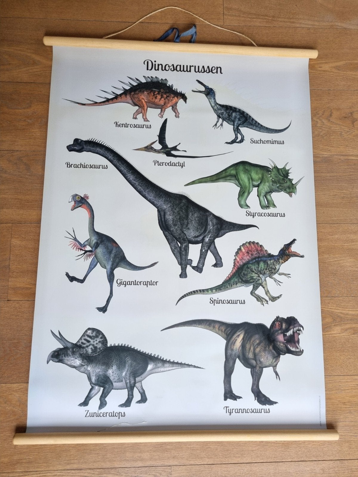 Poster dinosaurussen, Gebruikt, Overige merken, Wanddecoratie, Ophalen