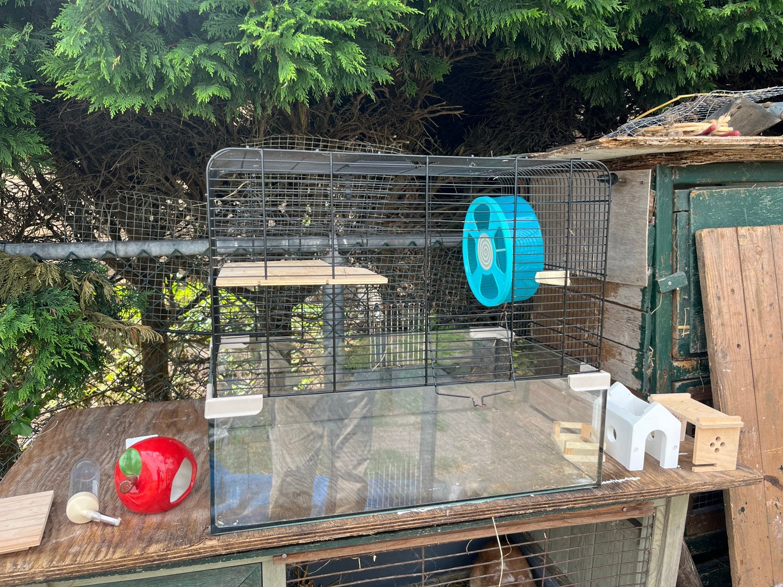 Hamster hok met toebehoren, Dieren en Toebehoren, Knaagdieren en Konijnen | Hokken en Kooien, Ophalen, 60 tot 90 cm, Minder dan 75 cm