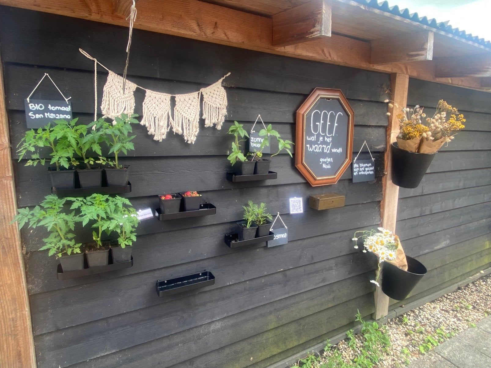 ‘Geef wat je het waard vindt’ kraam, Tuin en Terras, Ophalen, Overige soorten, Volle zon