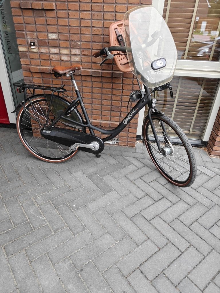 Gazelle Bloom moederfiets D53, Ophalen, Versnellingen, Gazelle, 1 zitje