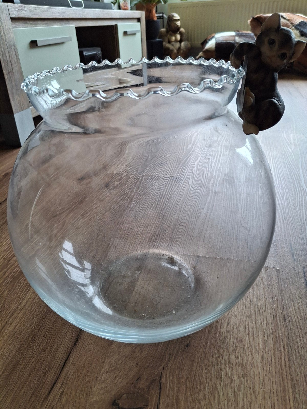 Leuke, grote viskom, Ophalen, Leeg aquarium