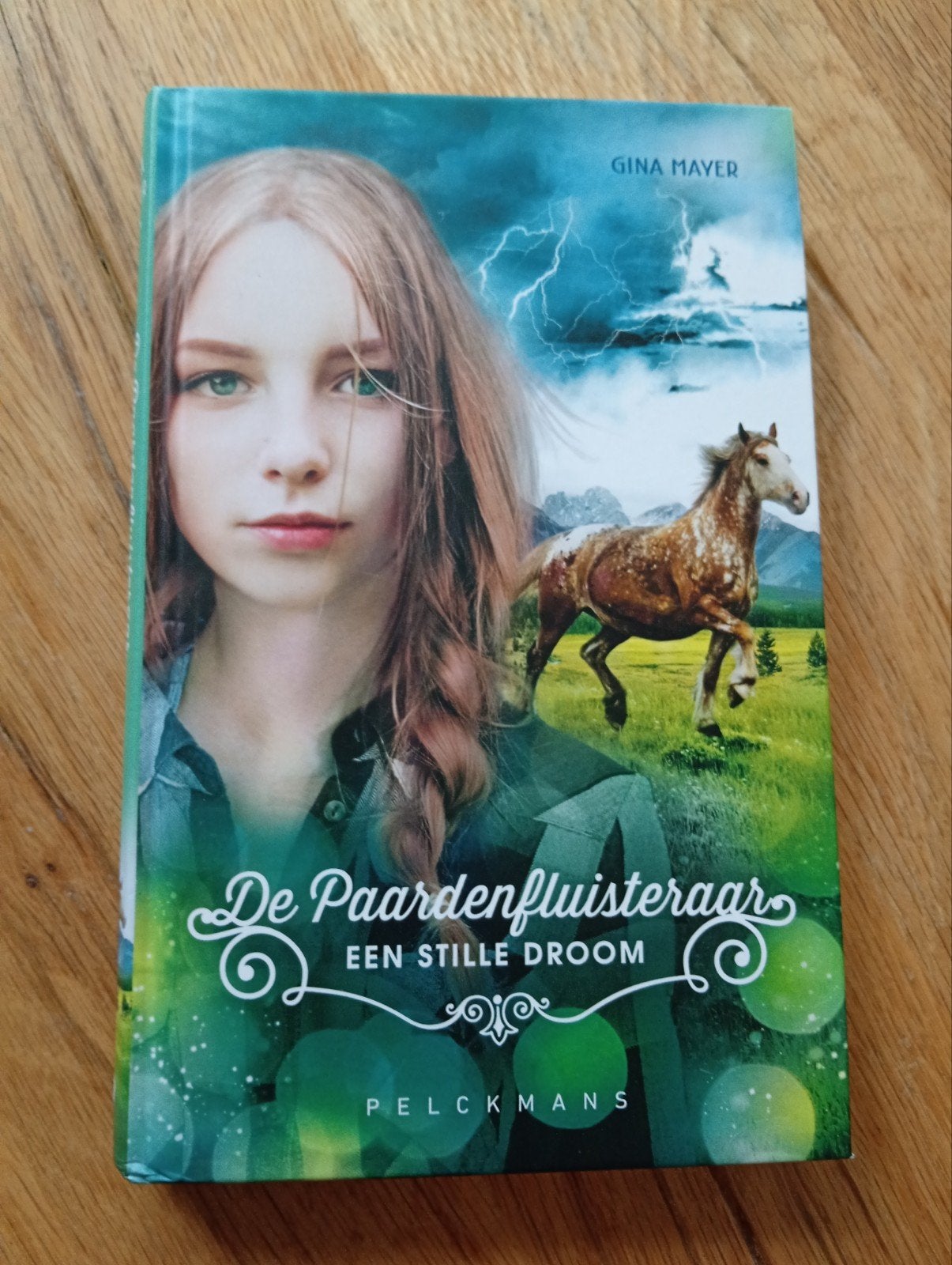 De Paardenfluisteraar Een Stille Droom - Gina Mayer, Ophalen of Verzenden, Fictie, Gina Mayer, Zo goed als nieuw