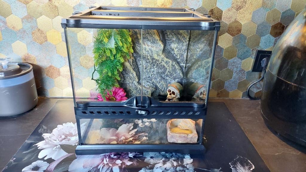 Exo Terra 30x30x30cm in zeer goede staat., Ophalen, Gebruikt, Terrarium of Paludarium