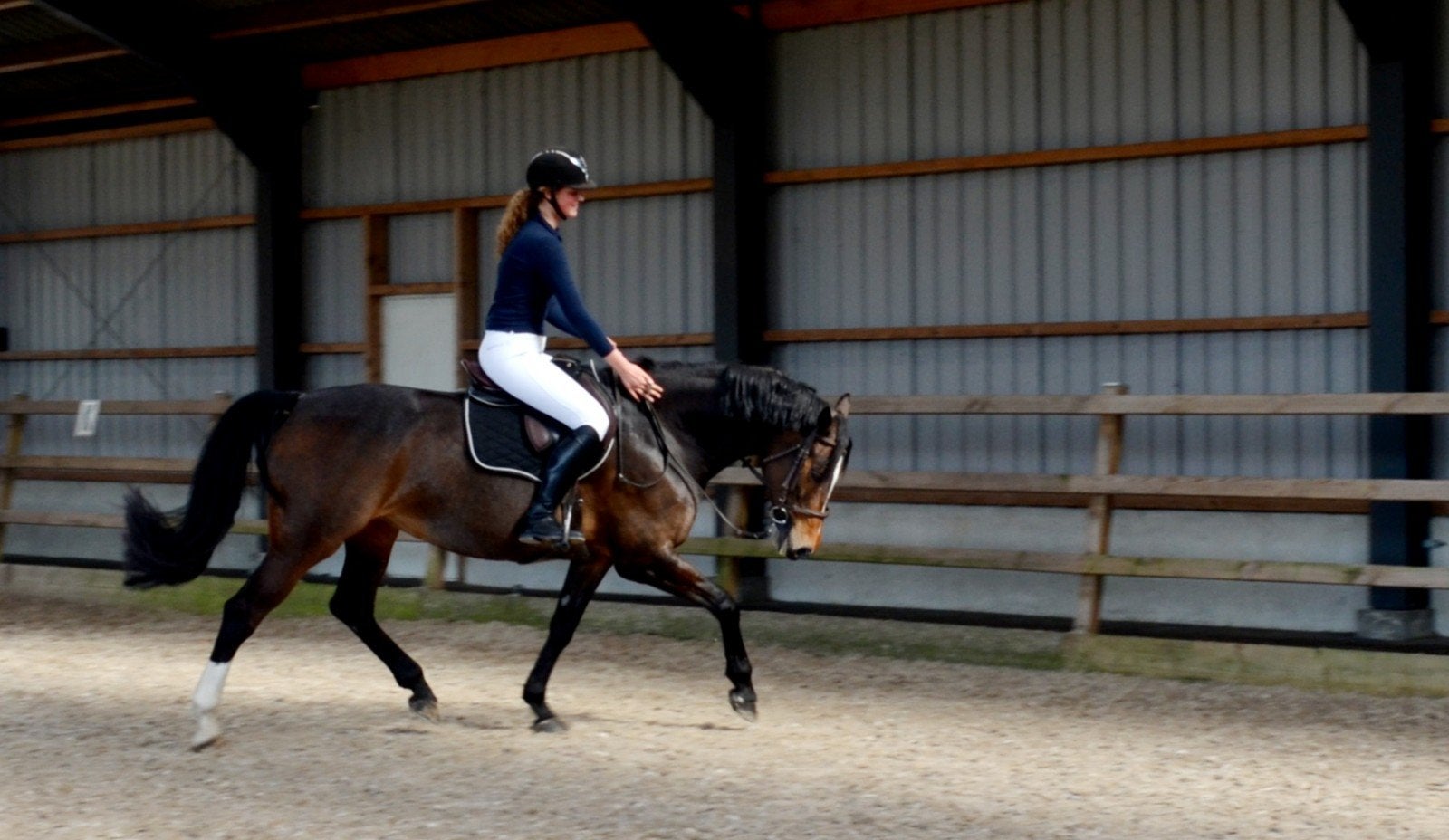 Talentvolle eerlijke KWPN merrie, Merrie, Springpaard, Met stamboom, 11 jaar of ouder