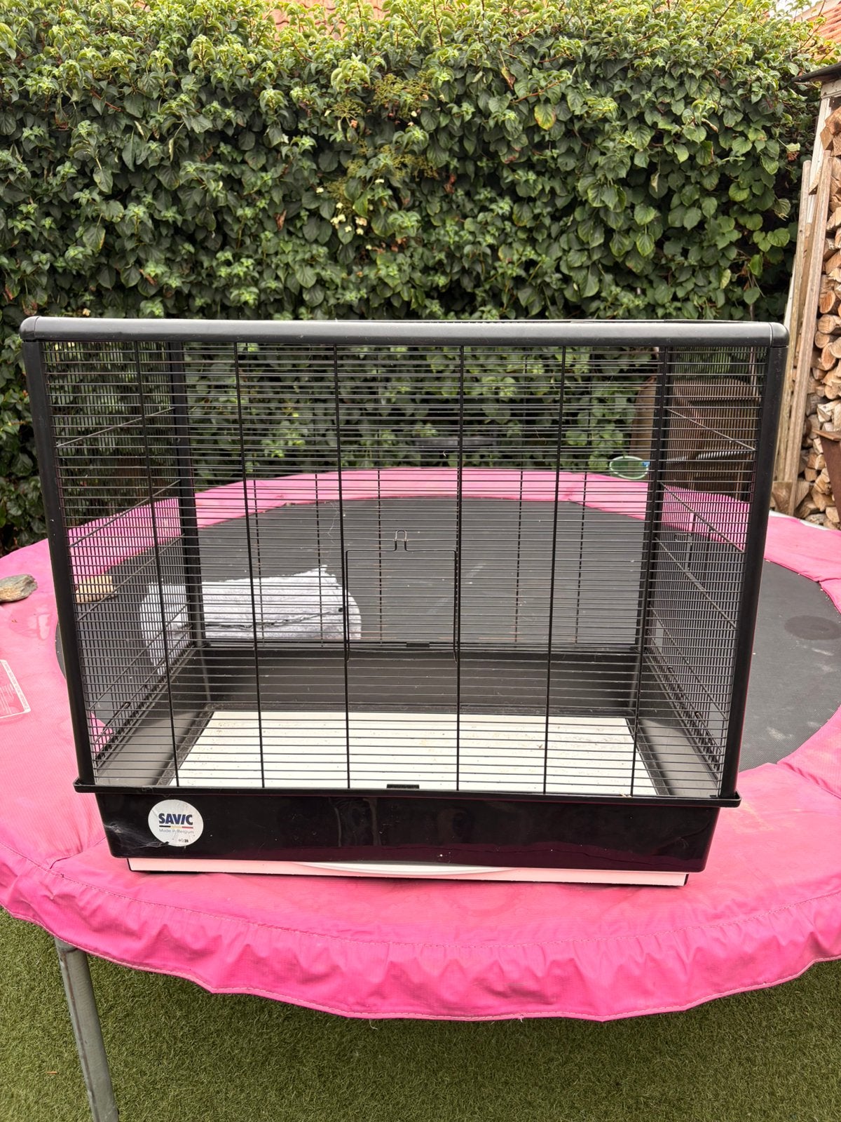Savic primo 60 hele nette staat, Ophalen, Zo goed als nieuw, Metaal, Vogelkooi