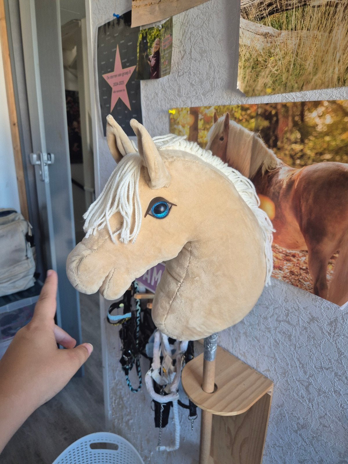 Hobbyhorse met accessoires, Ophalen, Zo goed als nieuw, Jongen of Meisje