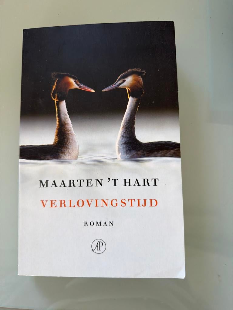 Verlovingstijd - Maarten 't Hart (Roman), Ophalen of Verzenden, Gelezen, Nederland