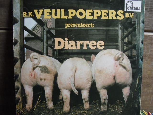 R.K. Veulpoepers B.v. "Diarree" LP, Gebruikt, Ophalen of Verzenden, 12 inch, Inclusief binnenhoes