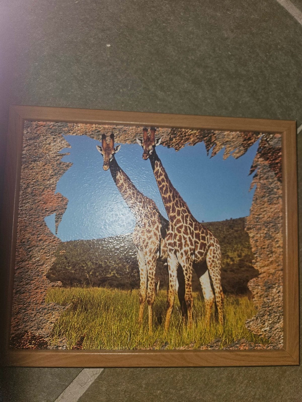 Ingelijste foto van twee giraffen, Ophalen, Minder dan 50 cm, Gebruikt, Foto of Poster