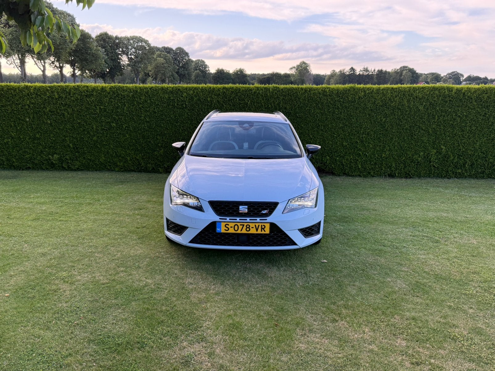 Seat Leon St Cupra 280, Auto's, Seat, 15 km/l, Euro 6, 4 cilinders, 1984 cc