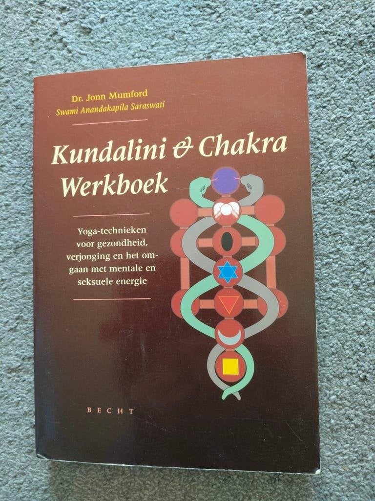 Kundalini & Chakra Werkboek - Dr. Jonn Mumford, Boeken, Esoterie en Spiritualiteit, Meditatie of Yoga, Ophalen of Verzenden, Zo goed als nieuw