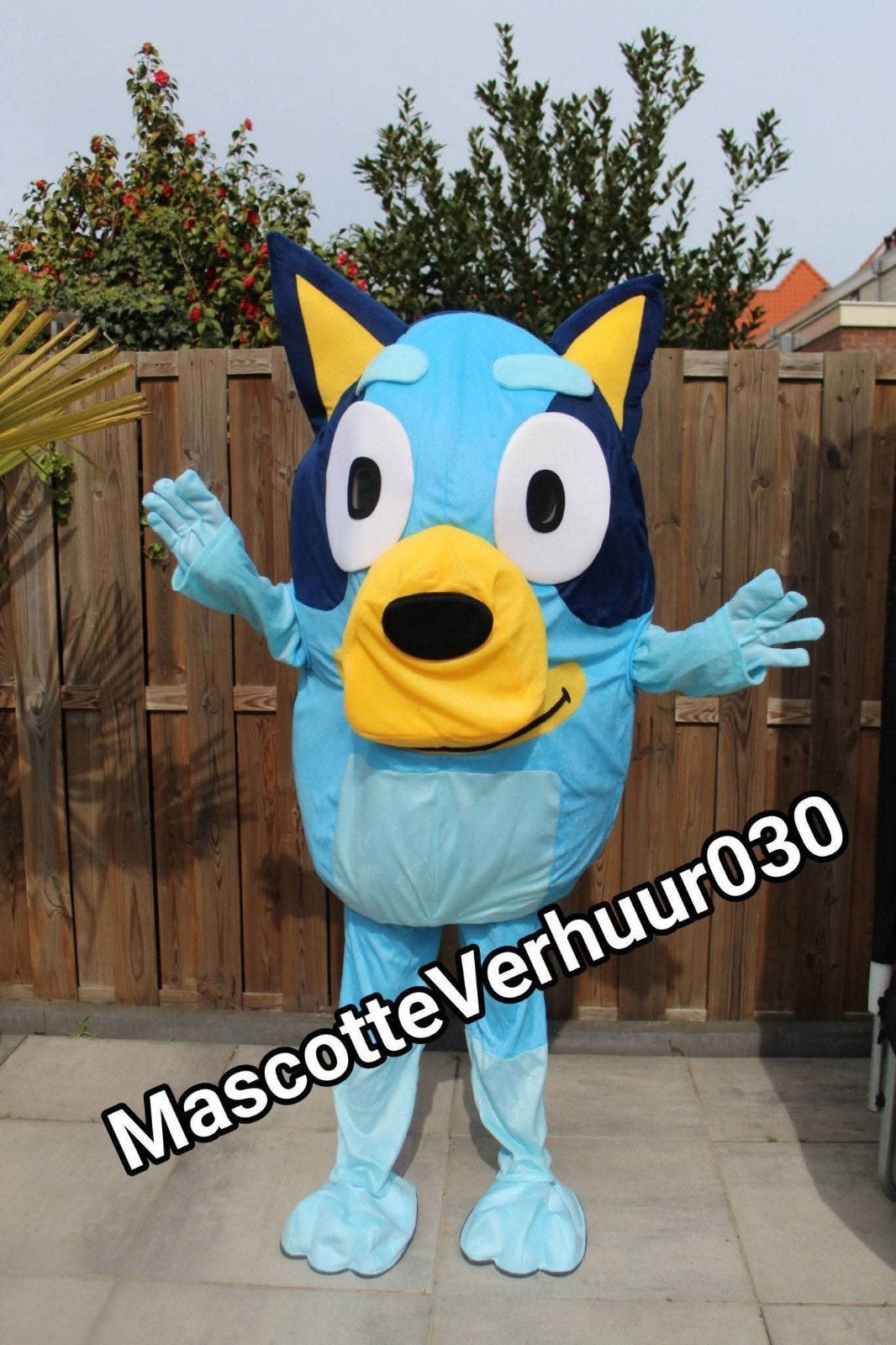 bluey mascotte komt bij u op huisbezoek huren acteur, Ophalen