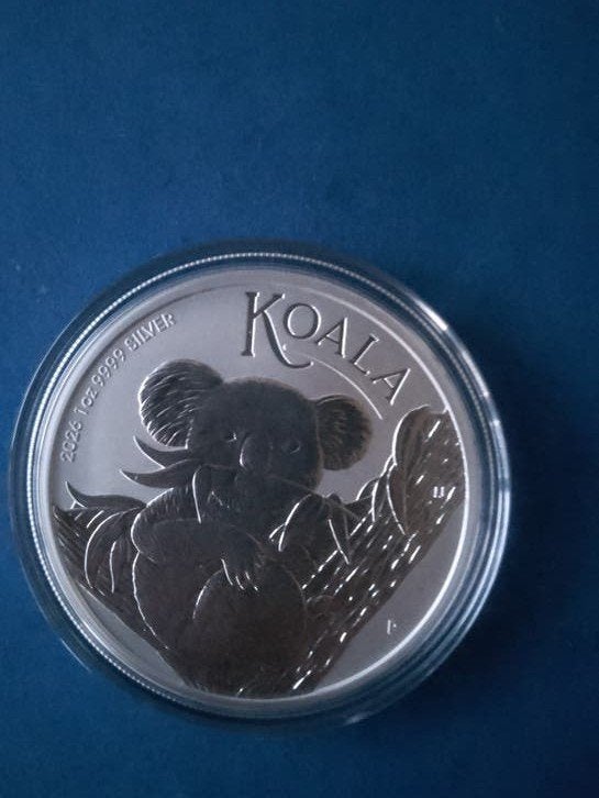 koala 2026 1 oz zilver, Ophalen of Verzenden, Zilver