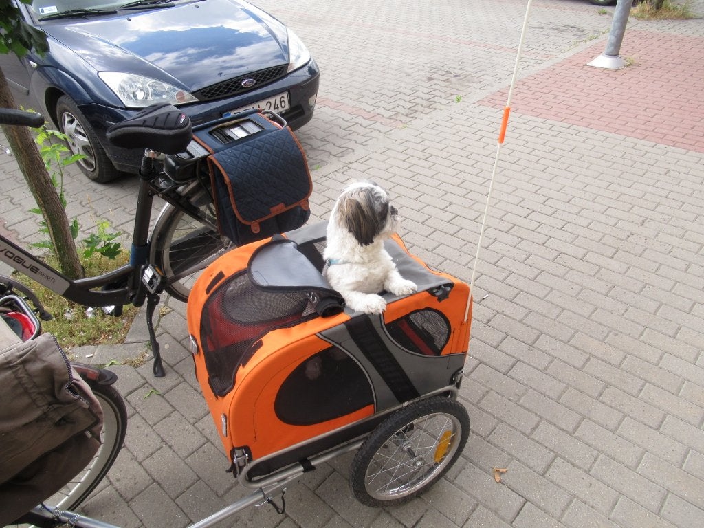 fietskar voor hond, Ophalen, Gebruikt, Hondenfietskar