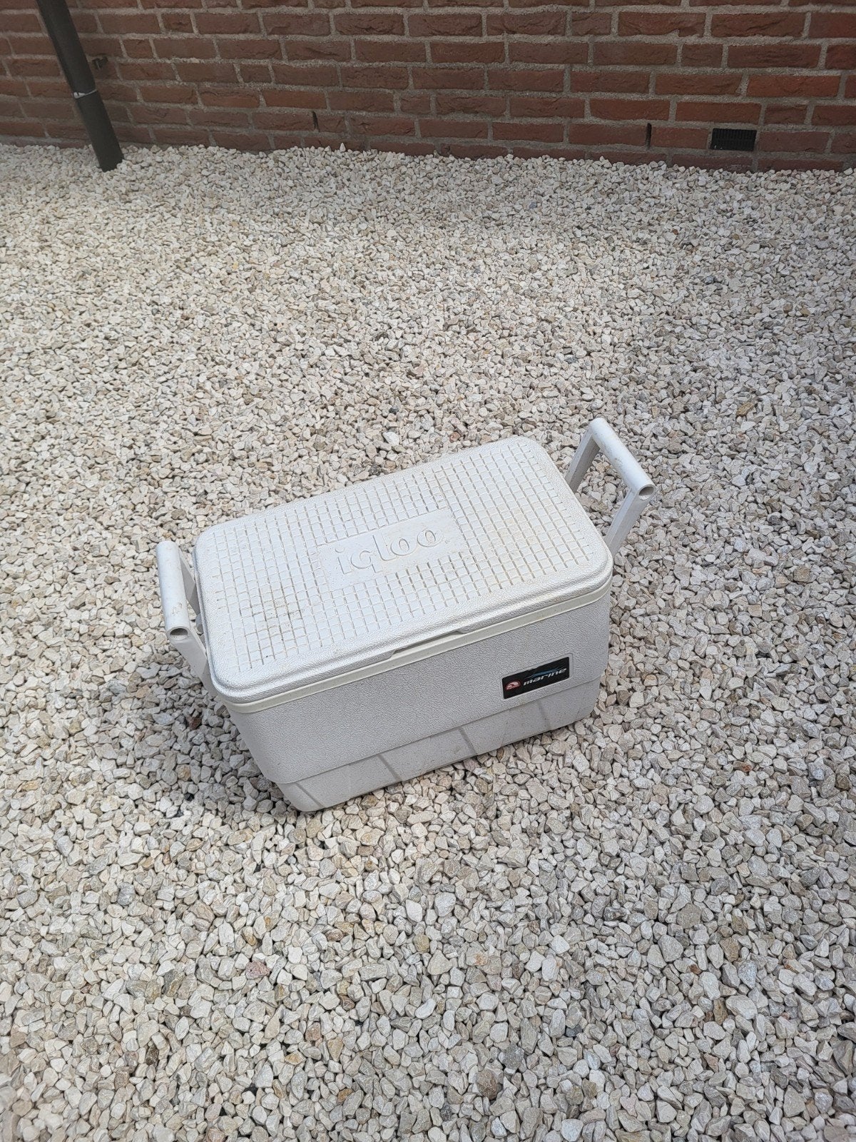 Igloo Marine Koelbox voor Boot en Outdoor, Caravans en Kamperen, Koelboxen, Ophalen